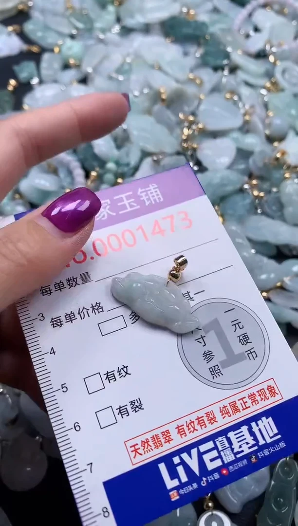 颈饰未镶嵌翡翠1473