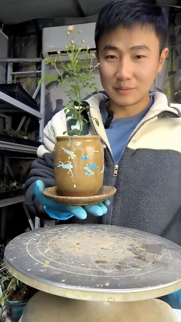 晴**岛中青园艺一物一拍花188