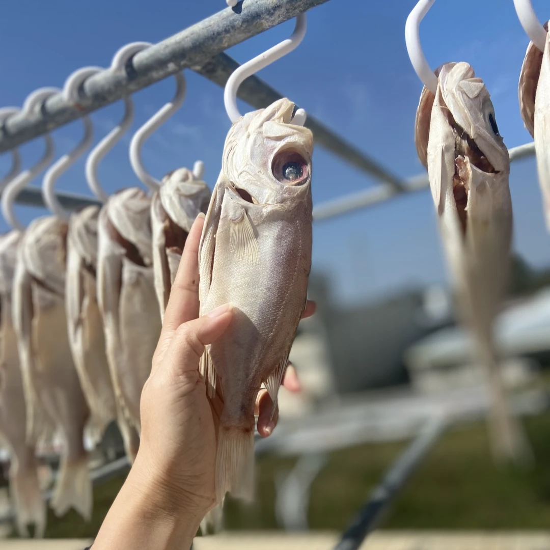 咸香大眼鱼干1斤  红目鲢鱼大眼鸡大目鱼广东新晒海产干货