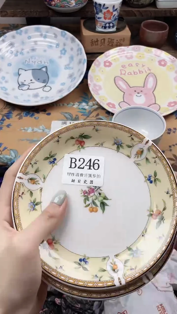 瓷片星****?                B246