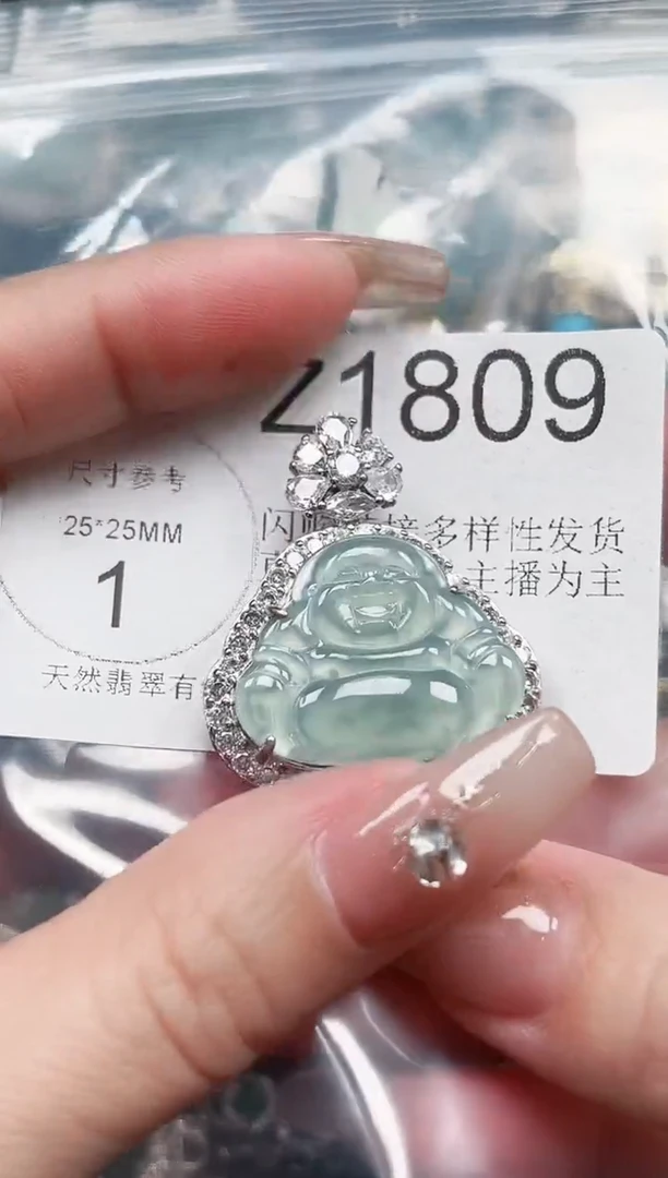 【闪购商品】翡翠颈饰未镶嵌赠皮绳1809
