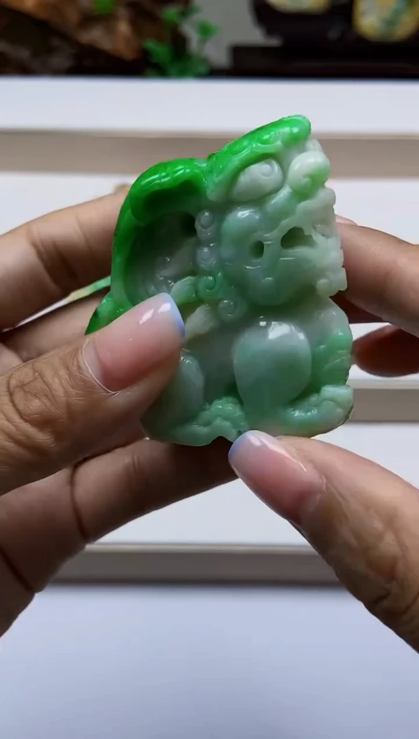 颈饰未镶嵌翡翠翡翠A货