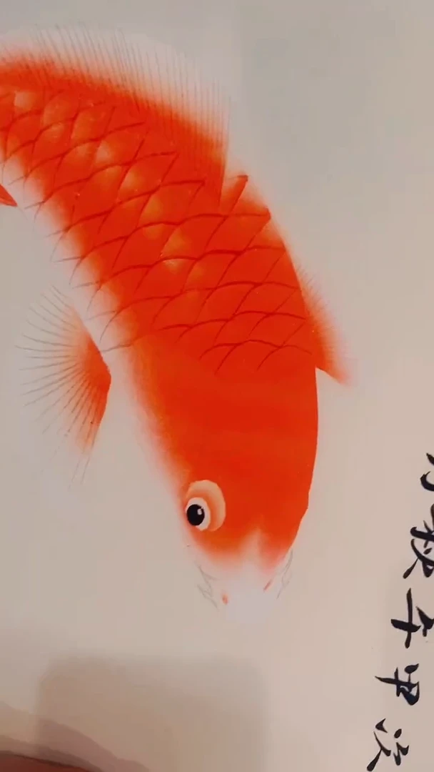 梦心甄选系列墙画专属链接W01