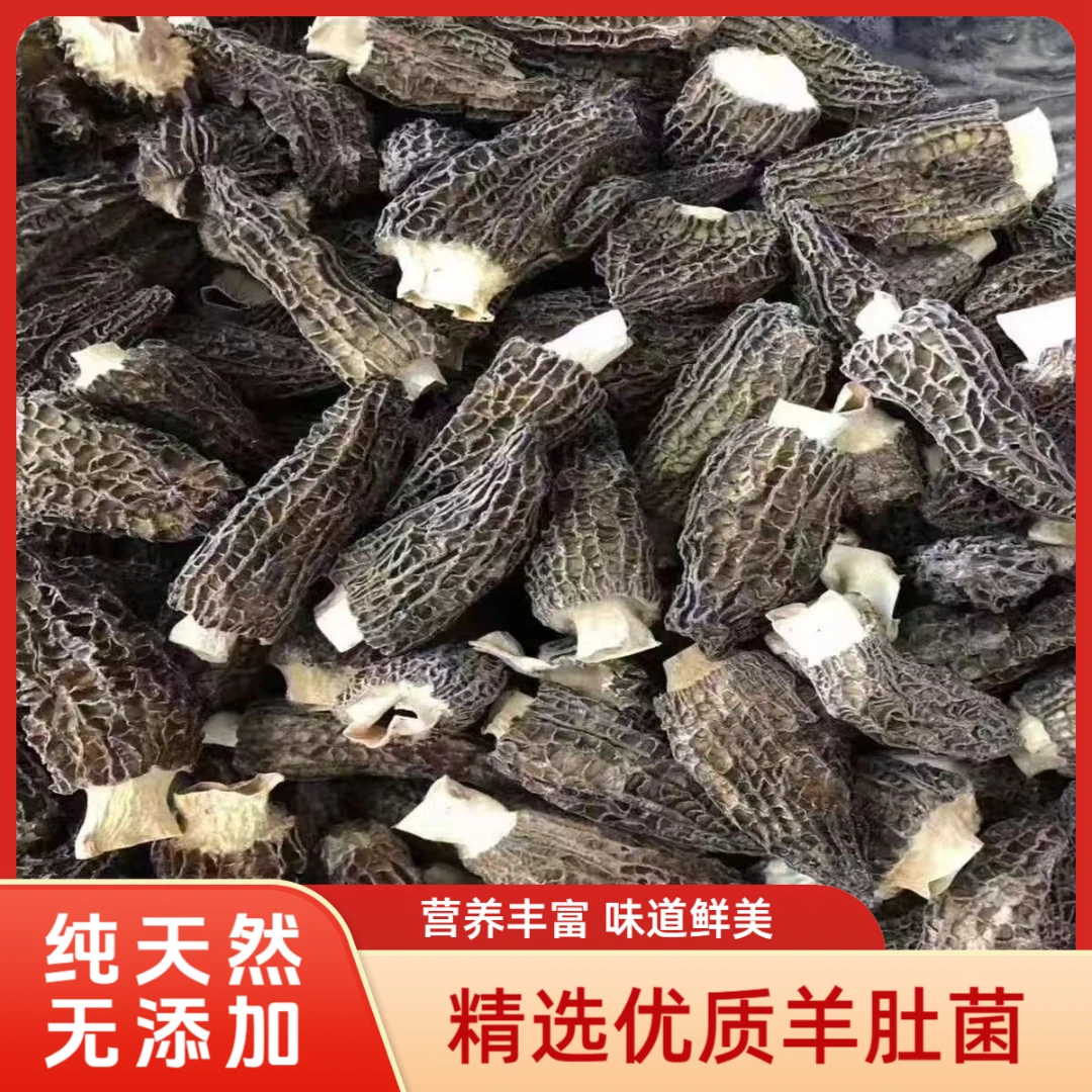 羊肚菌干货高山精选鲜美煲汤食材农家滋补养生