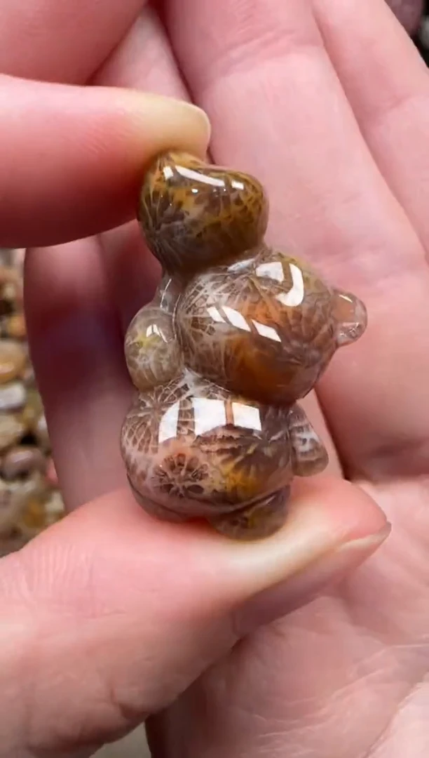 颈饰未镶嵌硅化珊瑚（珊瑚玉）598