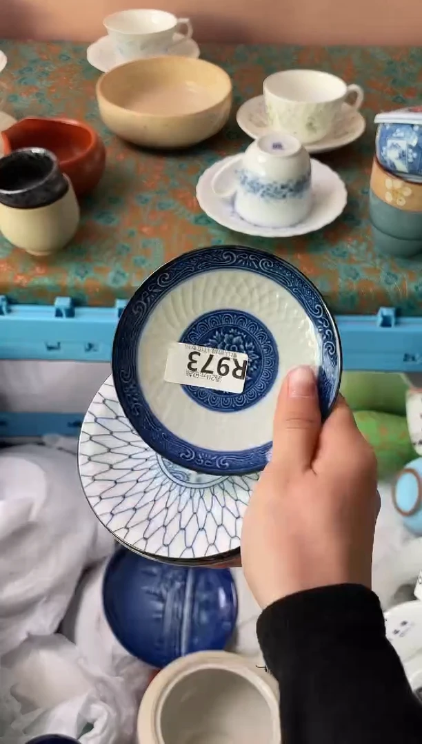 瓷片：*漪瓷器瓷器R973