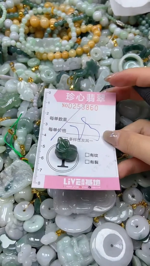 翡翠未镶嵌颈饰闪购0253860多样性发其一