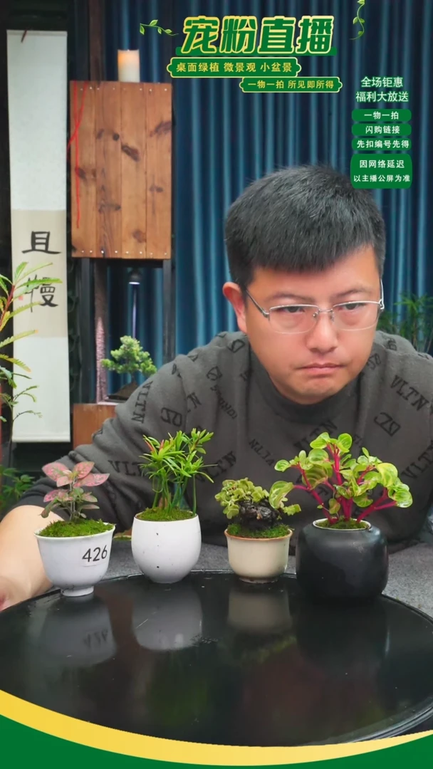 无花朵绿****3苔藓微景观426号
