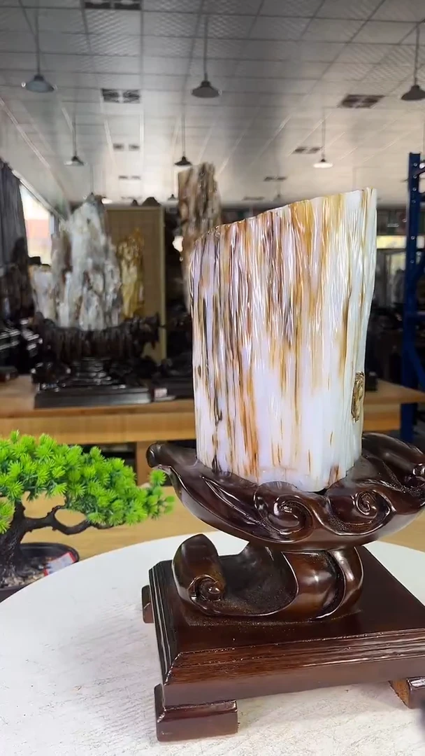 未镶嵌珠宝奇石硅化玉680