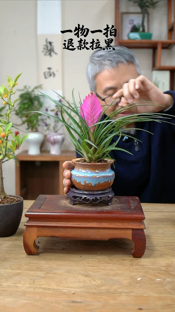 完全开放葫****?铁兰259