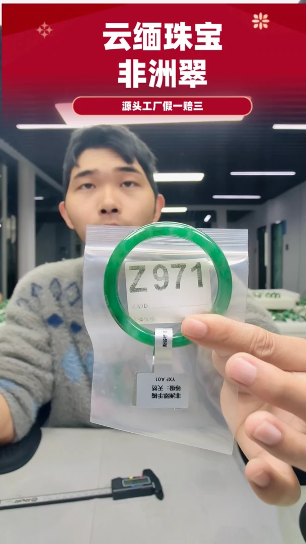 未镶嵌手镯石英质玉（非洲翠）58圈口971