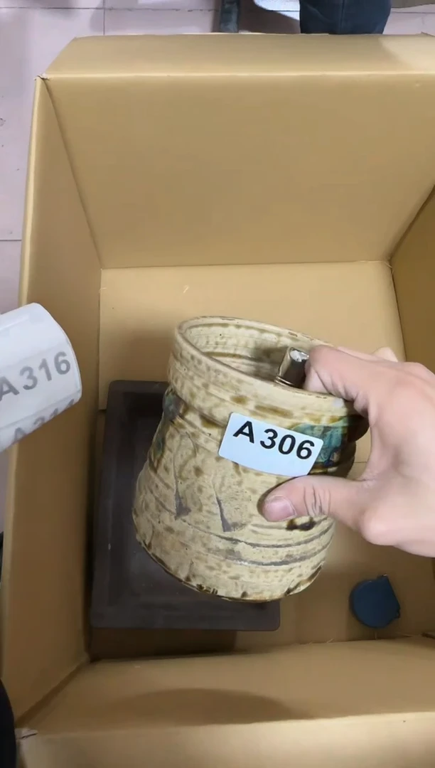 瓷片306瓷片no退no换谨慎参拍进口瓷器