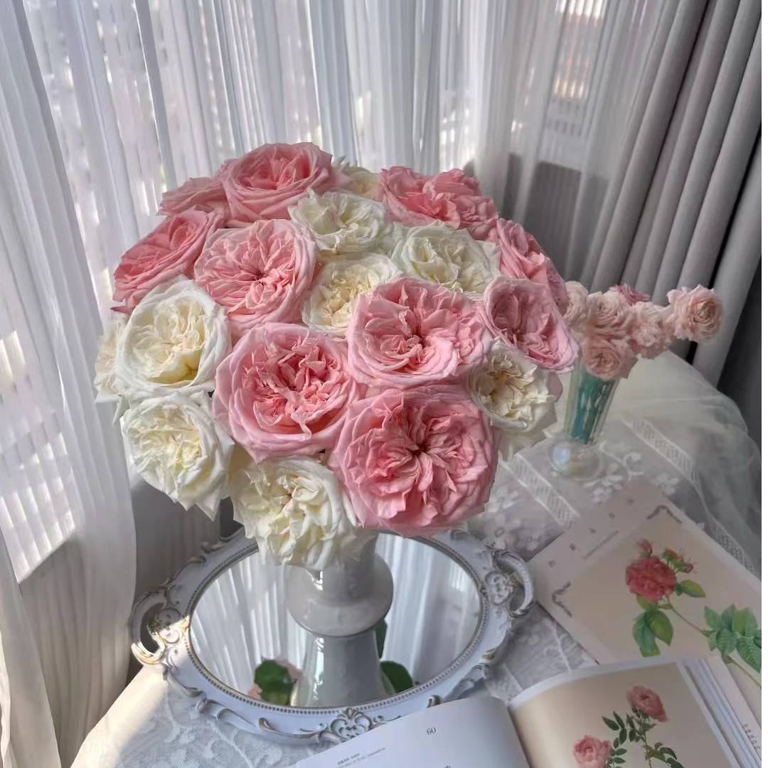 【一品花集】20支【粉荔枝+白荔枝】单头玫瑰（注意：带包装醒花哦~）