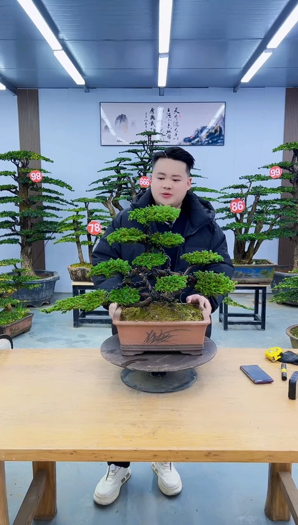 以实际为准0000000