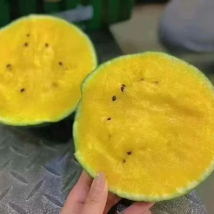 【丫头精选】冰淇淋黄心西瓜江苏东台当季新鲜现摘手剥西瓜沙瓤西瓜整箱包邮[不指定包装]G江苏省
