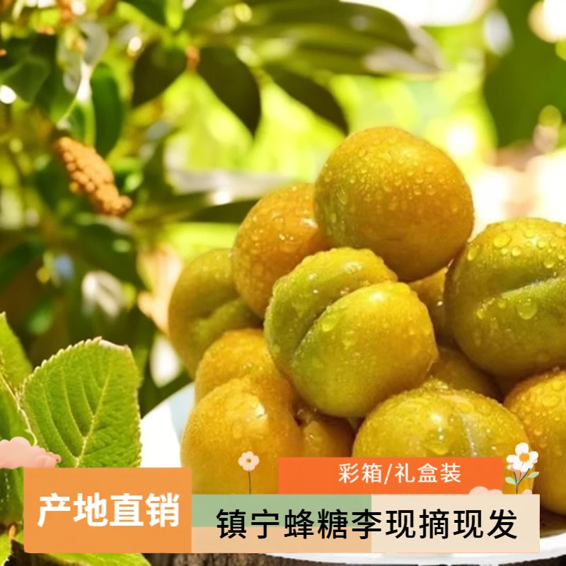 【蜂糖李】贵州镇宁六马新鲜现发脆甜脱骨蜂糖李当季孕妇水果礼盒装