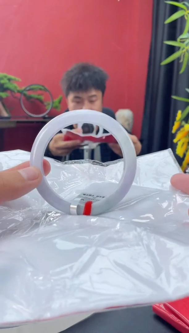 未镶嵌手镯翡翠15