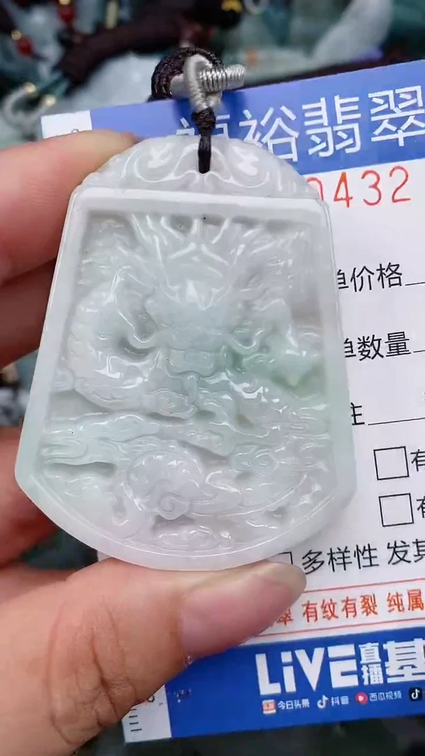 翡翠未镶嵌颈饰...0000432