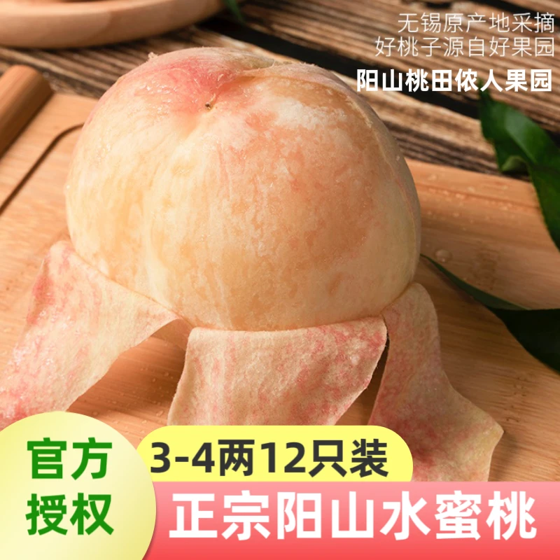 3-4两12只 正宗阳山水蜜桃 尝鲜早桃  自家果园 现采现发