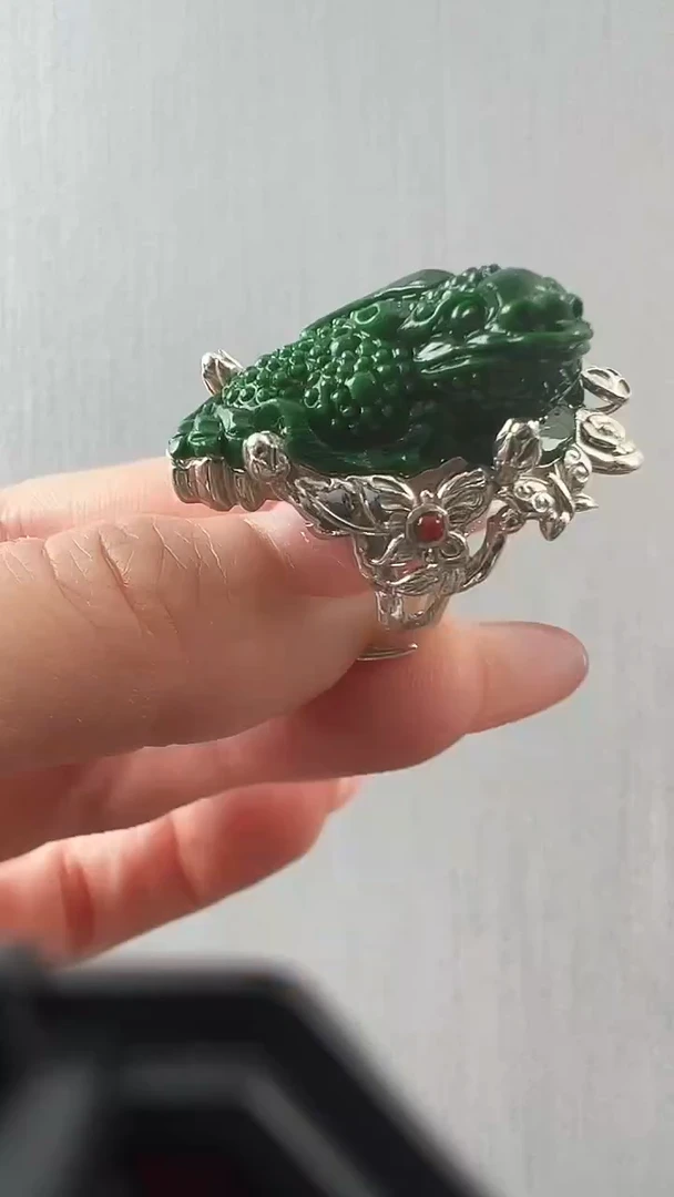 颈饰未镶嵌翡翠戒指