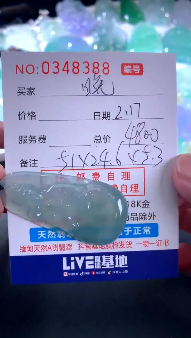 【闪购商品】翡翠颈饰未镶嵌晚