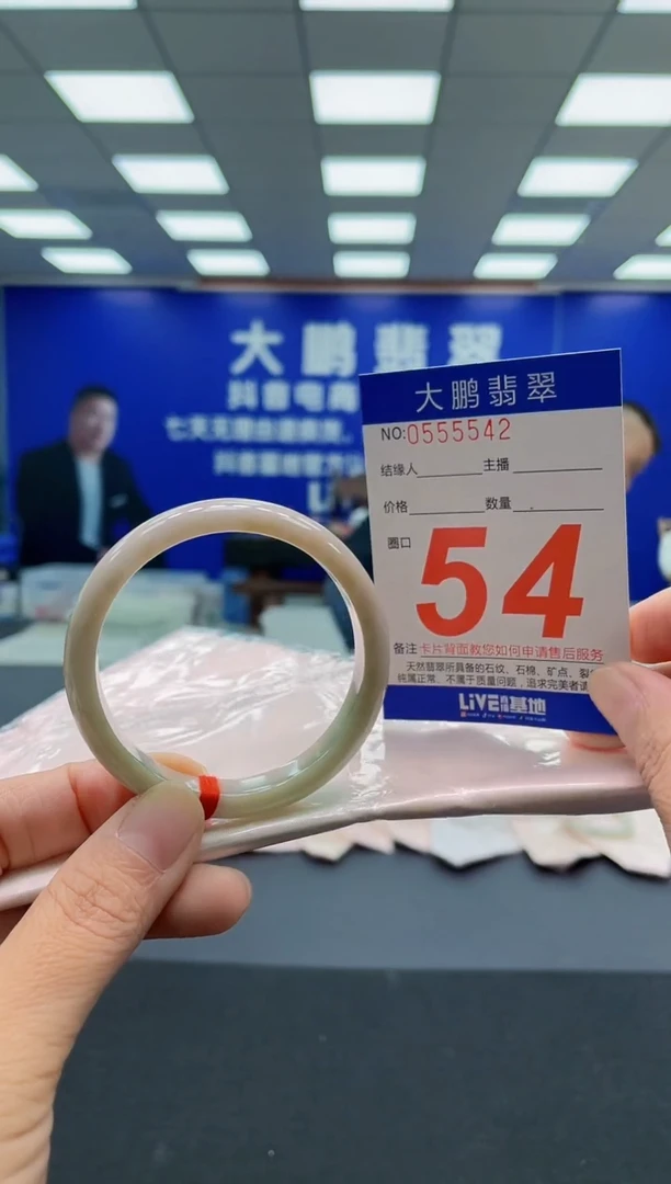 未镶嵌手镯翡翠AAAAAAAAA