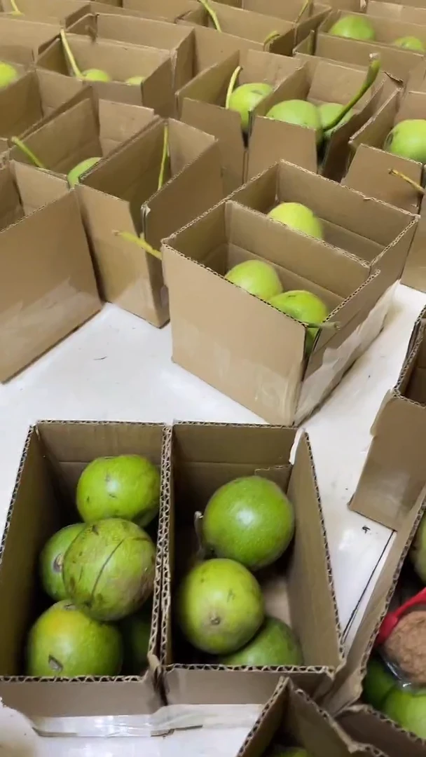 核桃把件盘山一盒