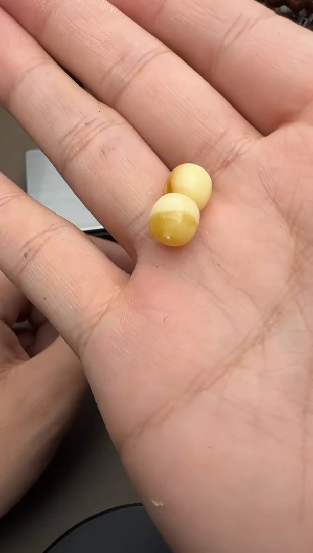 【闪购商品】蜜蜡裸石未镶嵌蜜蜡对珠