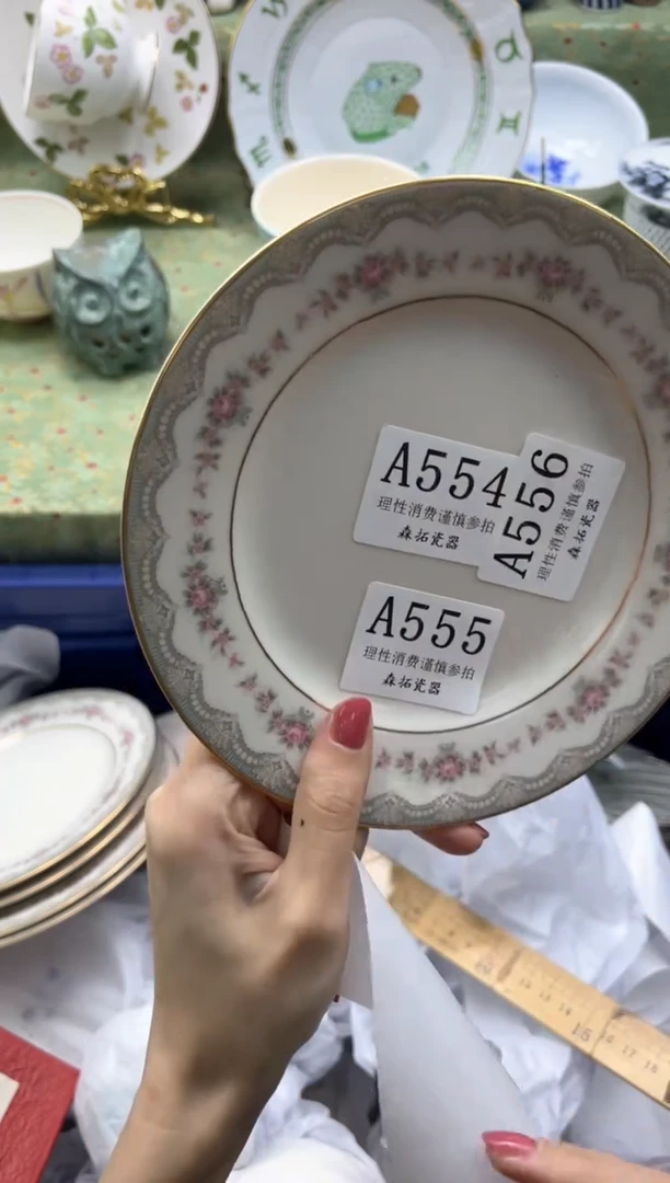 瓷片z*       A554