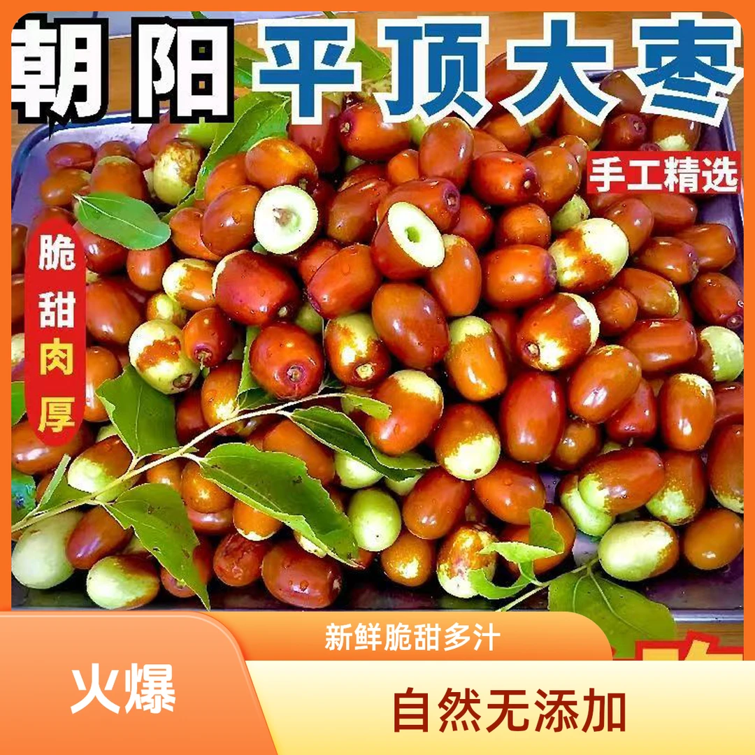 正宗朝阳孙家湾大枣新鲜采摘现摘现发多汁脆甜皮薄肉厚