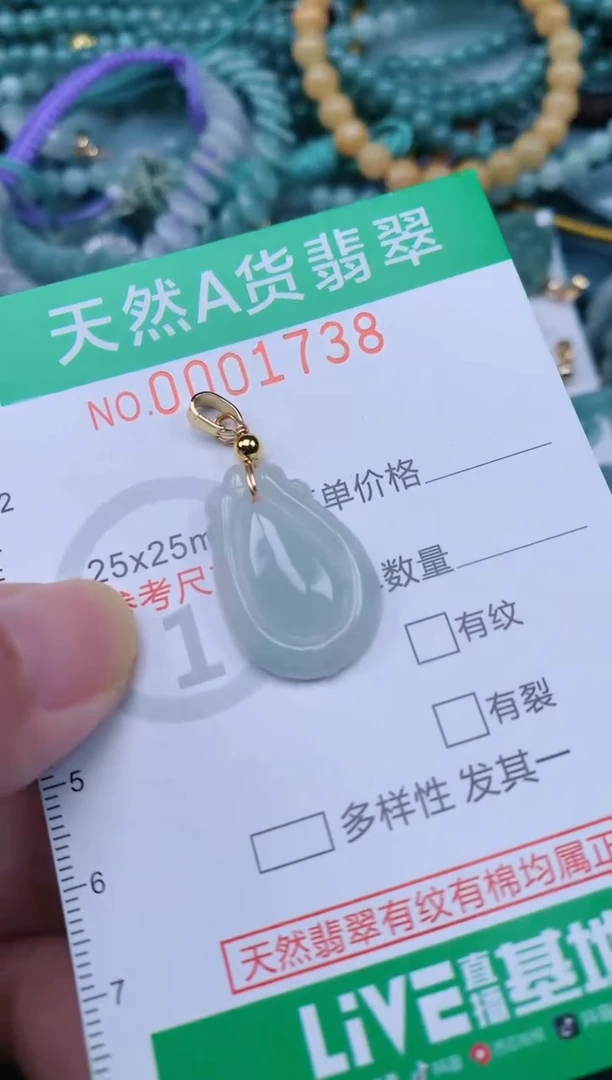 翡翠未镶嵌颈饰.0001738