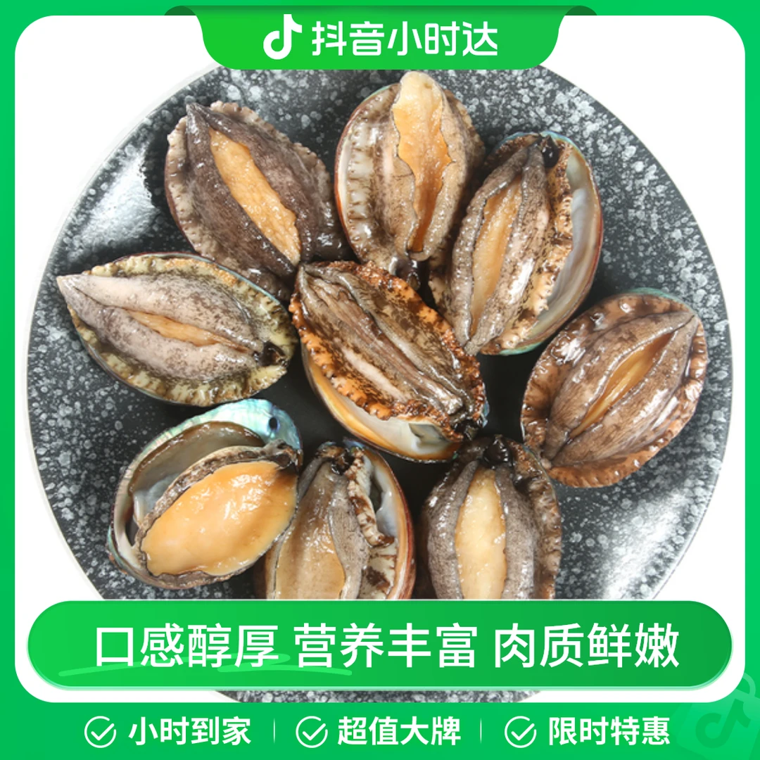 【6只装】鲜活大鲍鱼 单粒50-60g