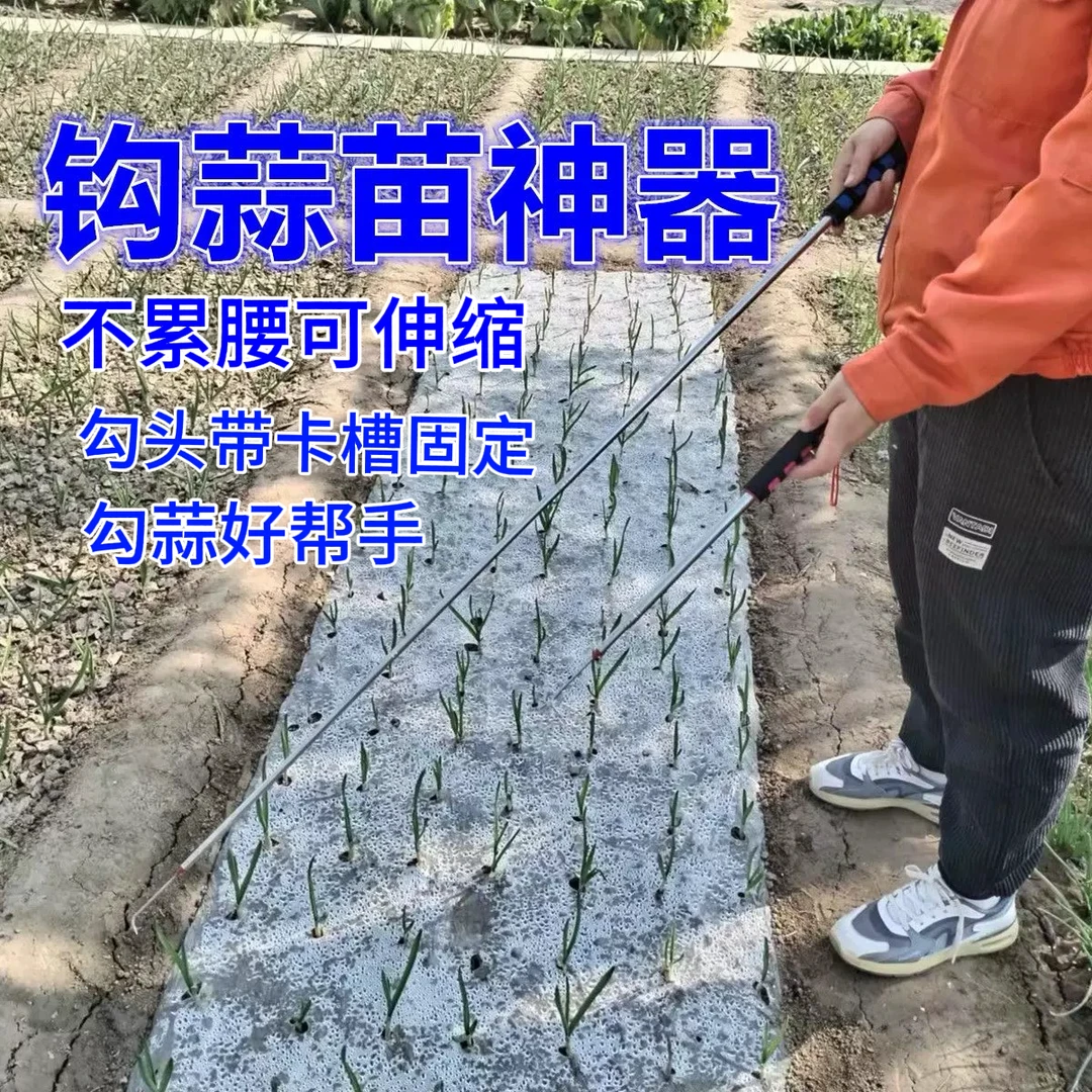 农户救星任意伸缩勾蒜神器轻松挑出蒜苗勾头带有固定卡槽不易滑动