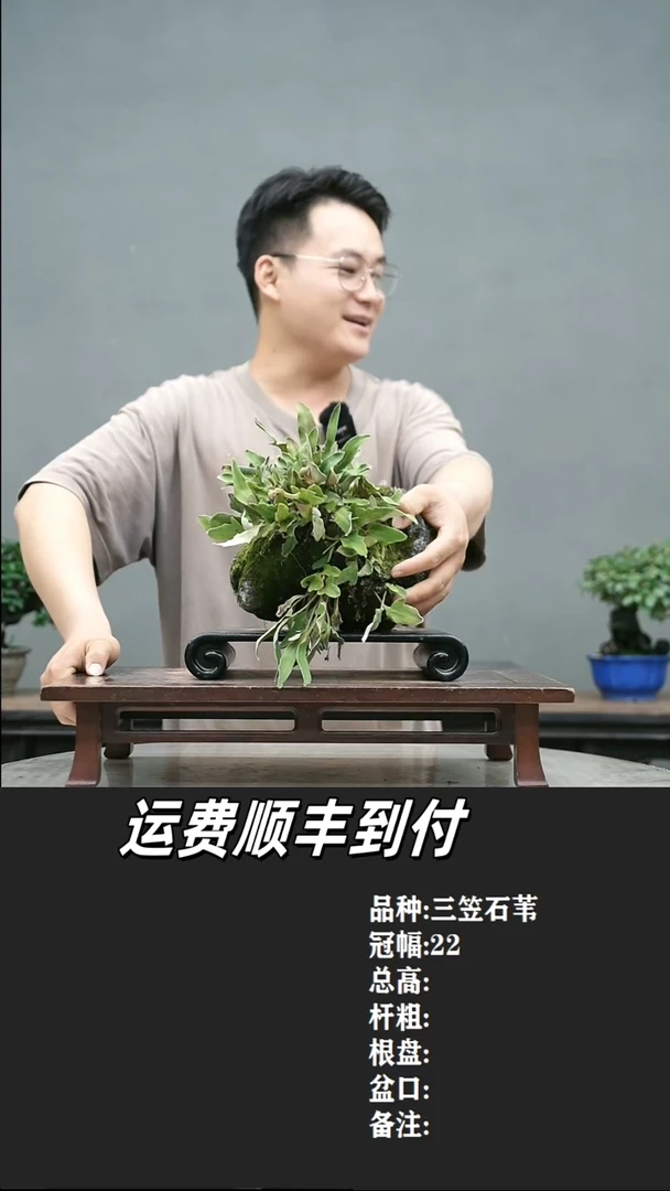 白*山3 石苇