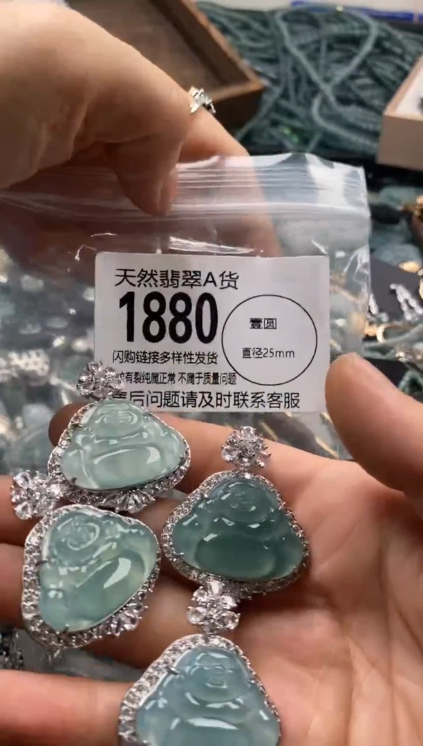 【闪购商品】翡翠颈饰未镶嵌多样性发其一1880