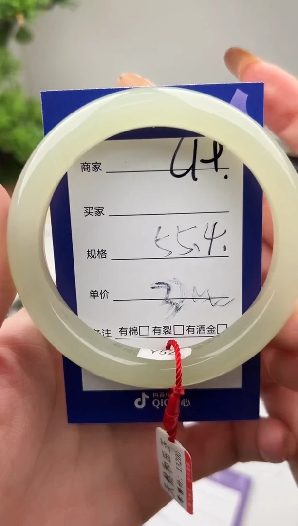 未镶嵌手镯和田玉微色差C19