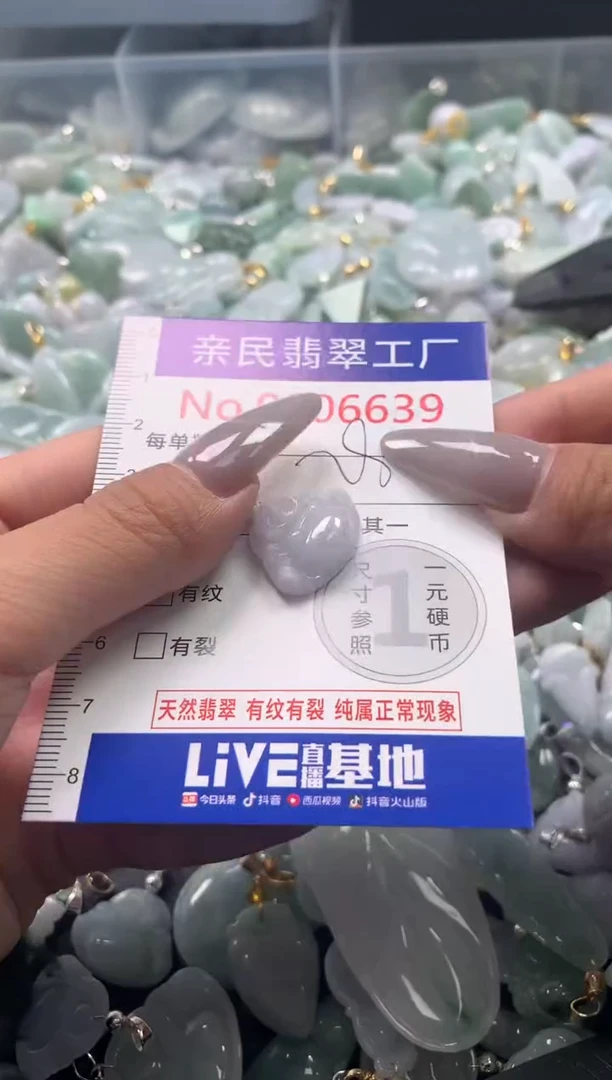 颈饰未镶嵌翡翠6639