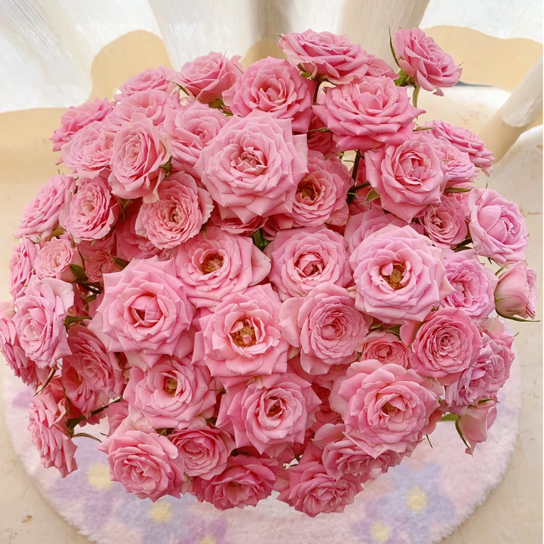 【云舍花卉】【温柔水晶】多头玫瑰全场任意满两单及以上鲜花包邮发货