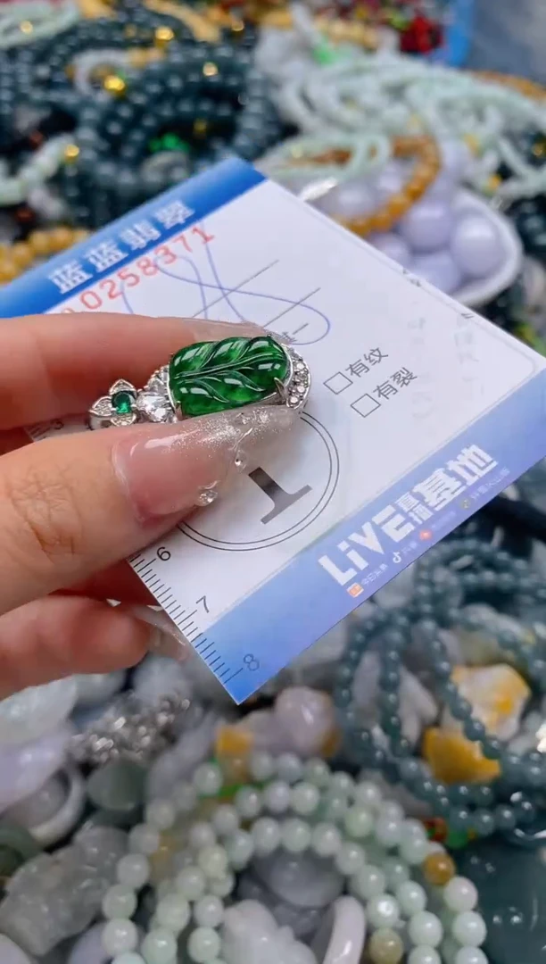 翡翠未镶嵌颈饰闪购0258371