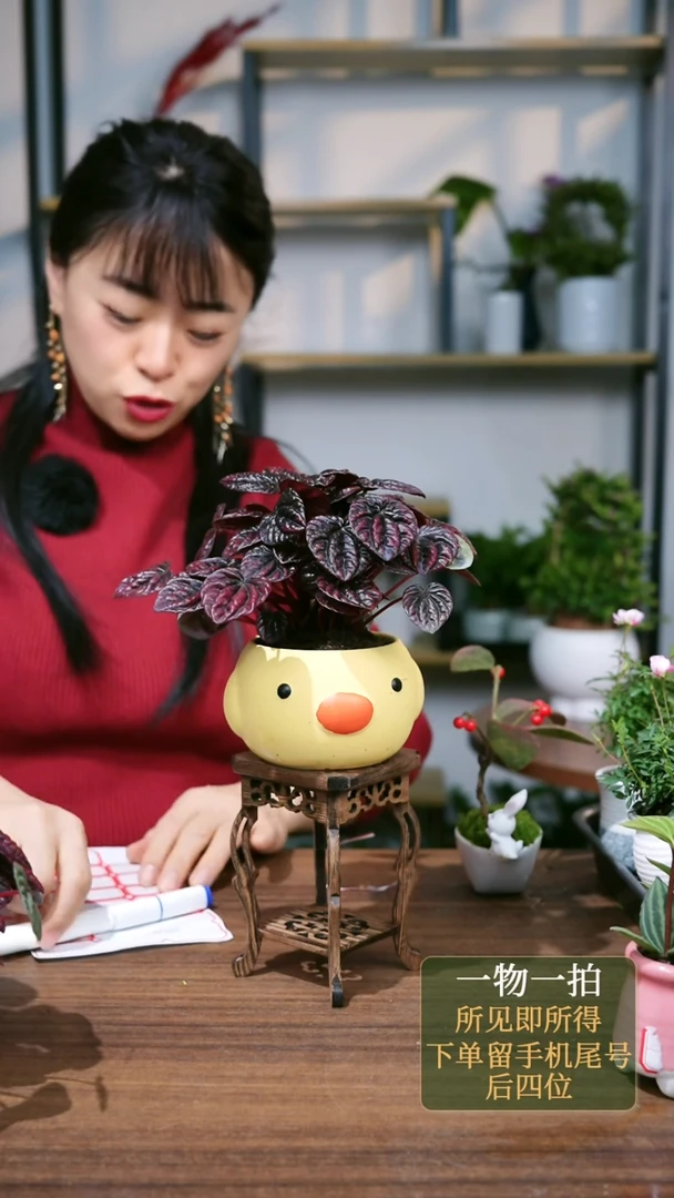 【闪购商品】4--5992红宝石棕色