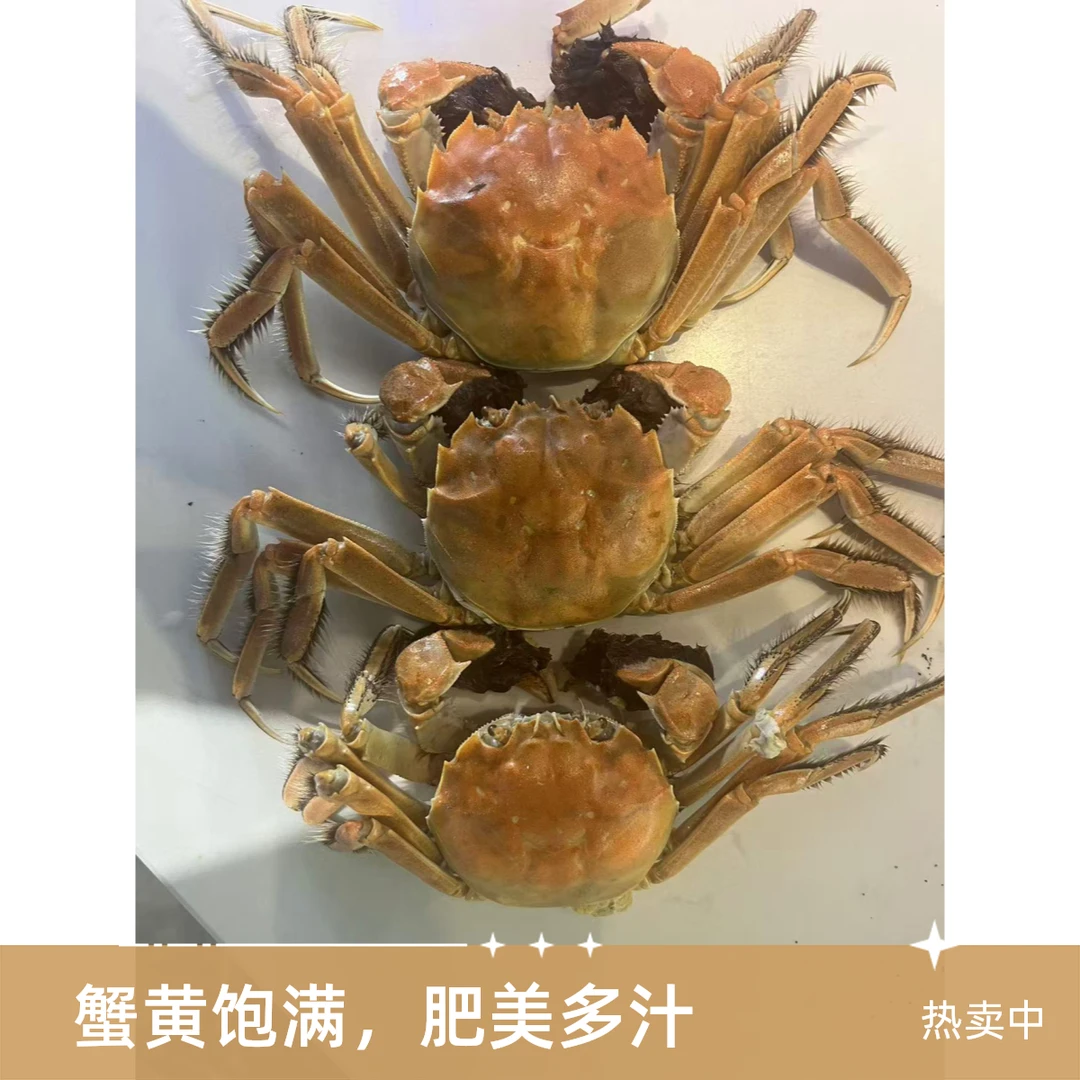 甄选河蟹公母混搭1.4-1.6两20-23只