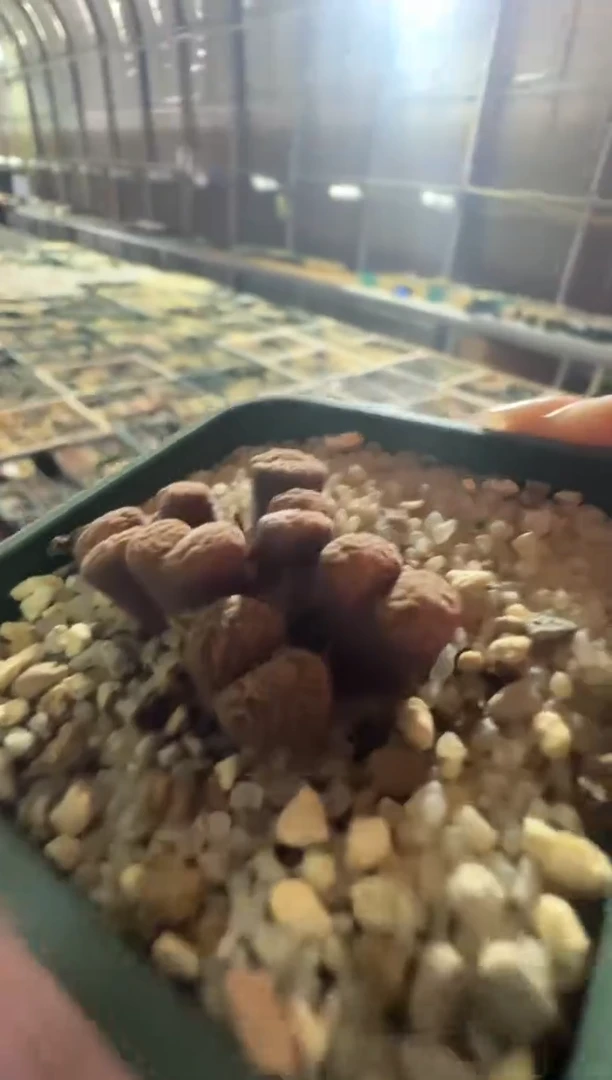 094---------------------