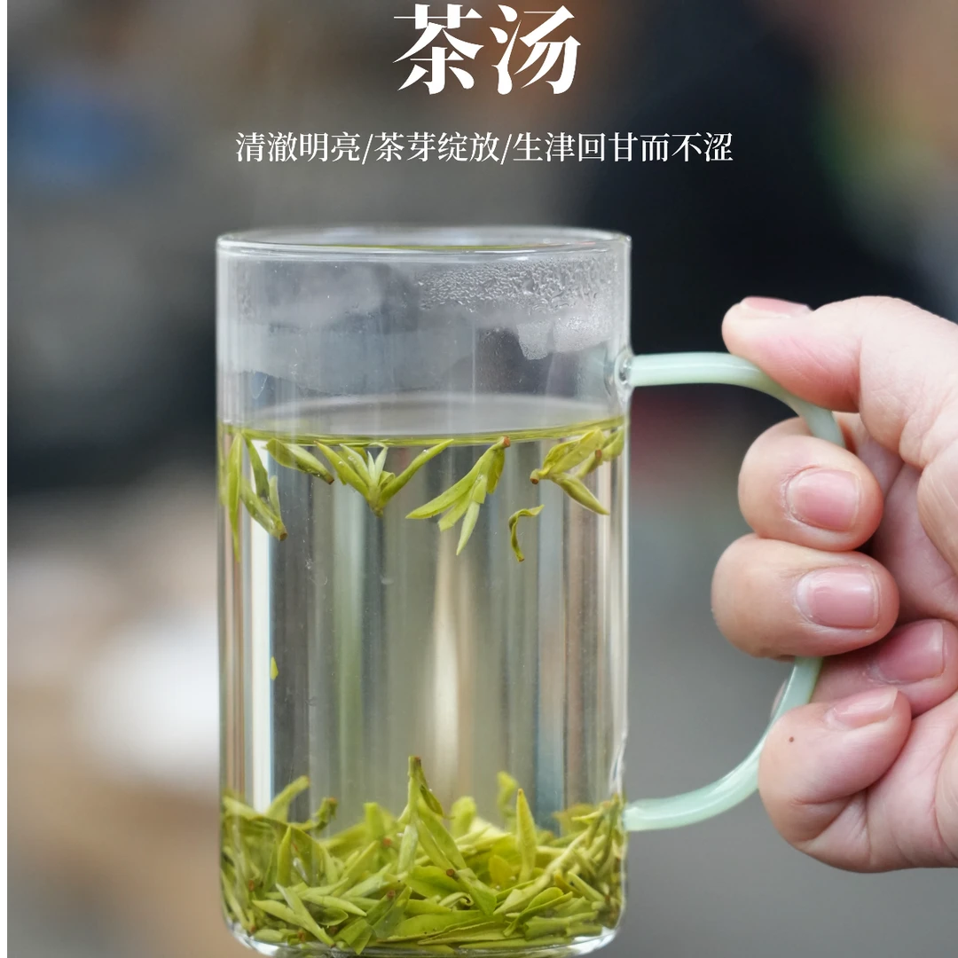 【25年新茶】碧螺春明前二采,一芽一叶鲜爽回甘花果香~