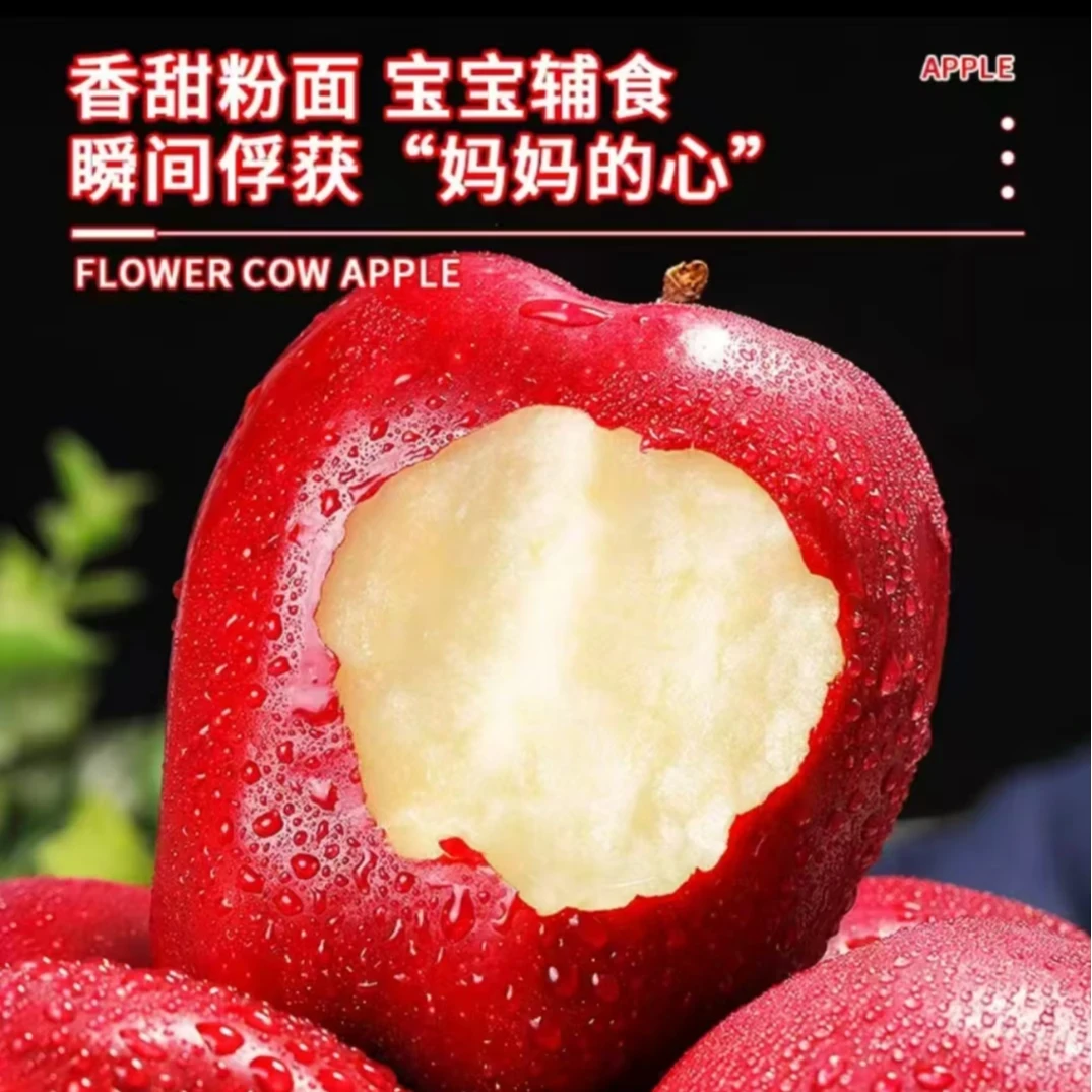 甘肃天水花牛苹果脆甜爆汁新鲜水果粉面香甜可做宝宝辅食