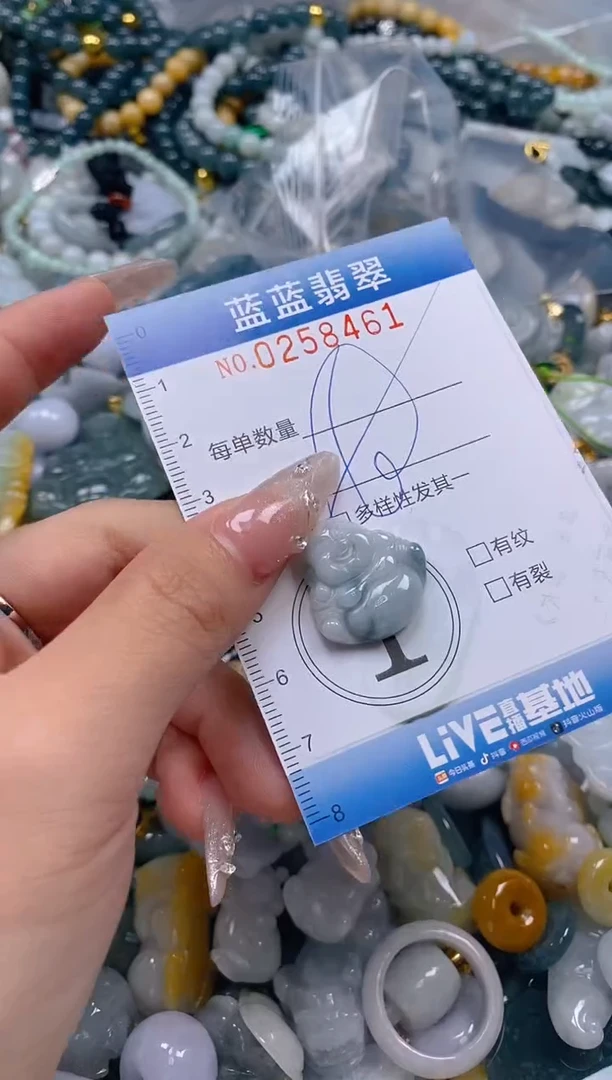 翡翠未镶嵌颈饰闪购0258461多样性发其一