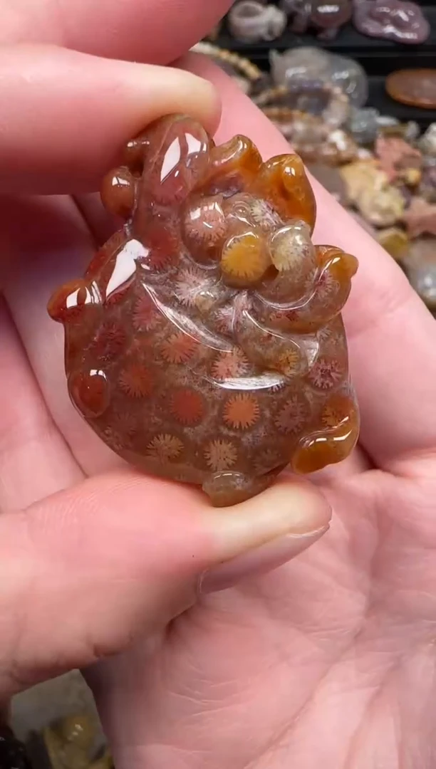 颈饰未镶嵌硅化珊瑚（珊瑚玉）132