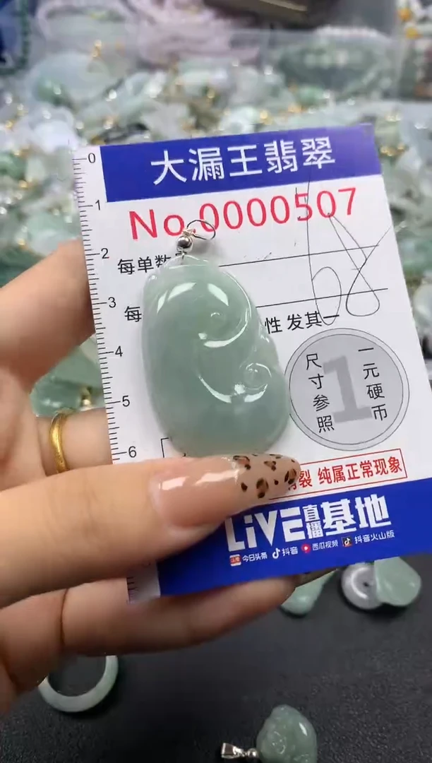 翡翠未镶嵌吊坠(不含链)507