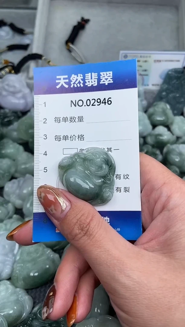 颈饰未镶嵌翡翠纯天然A货翡翠2946