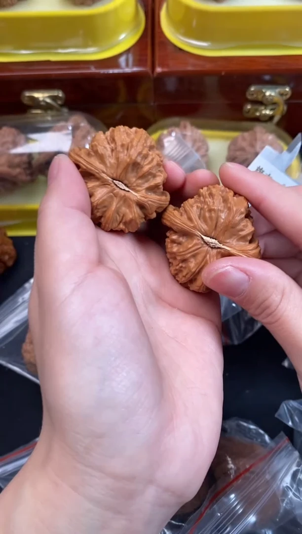 把件文玩核桃白狮子39尺s617