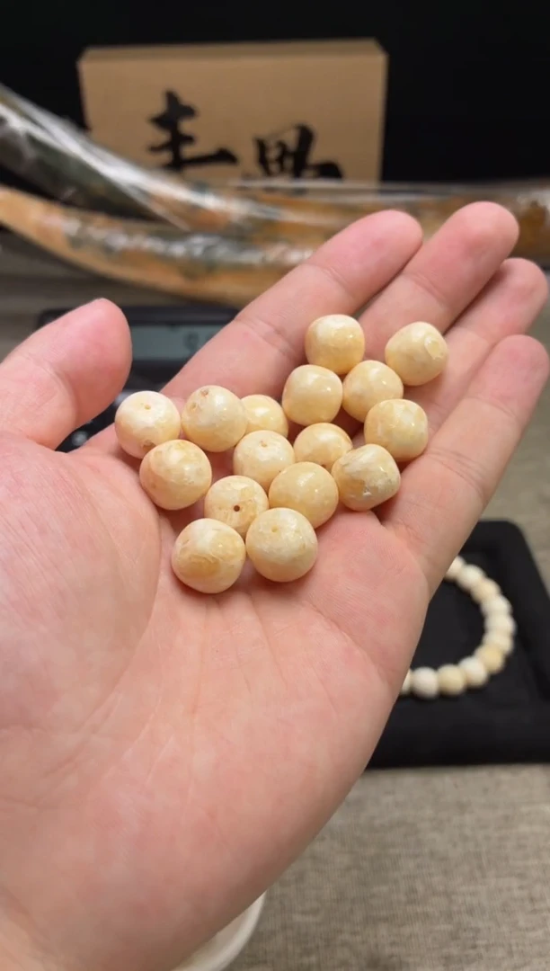 手串/手链/手镯猛犸象牙QD23 虬系列满脑T2单籽